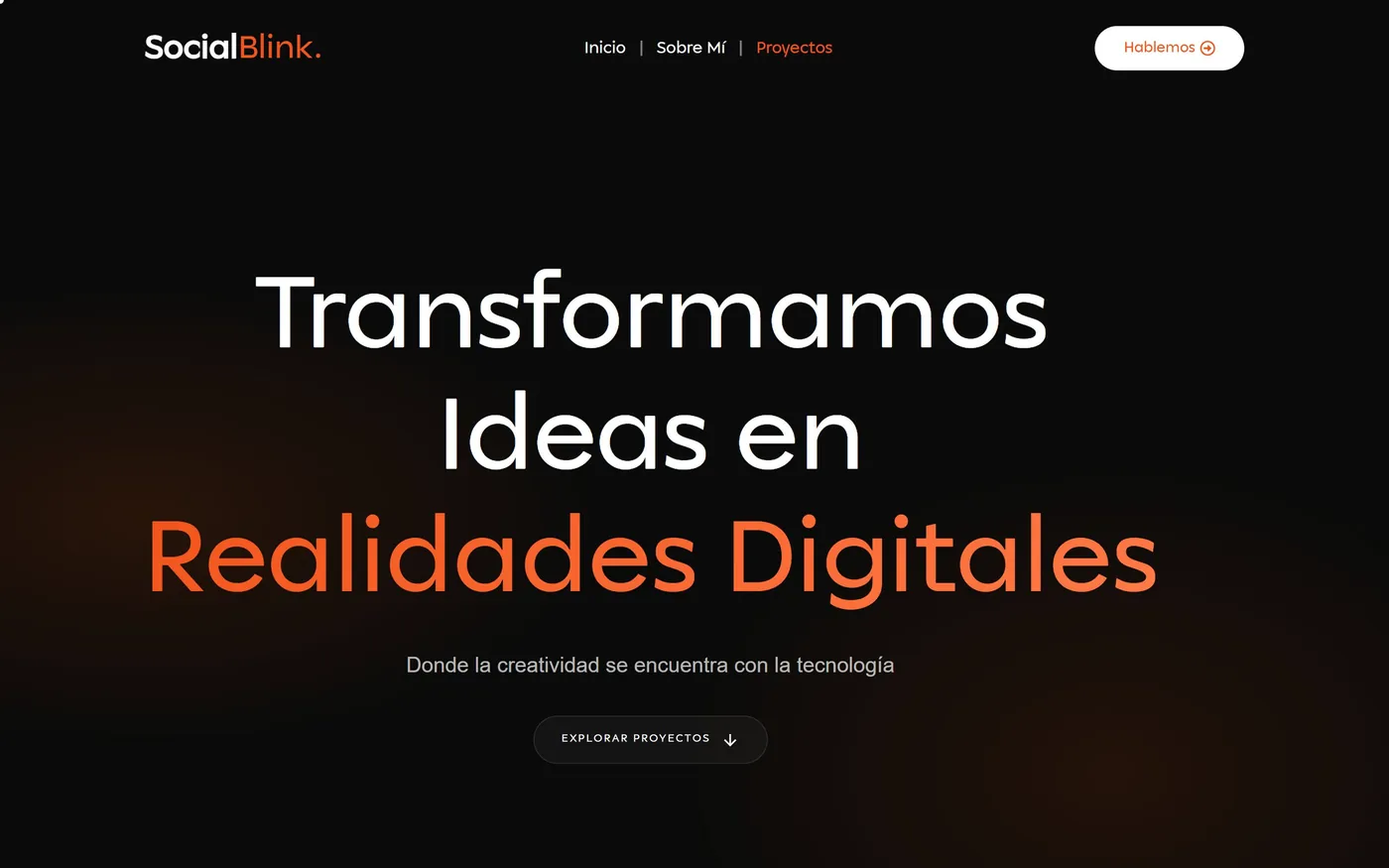 Página de proyectos del sitio web de Social Blink